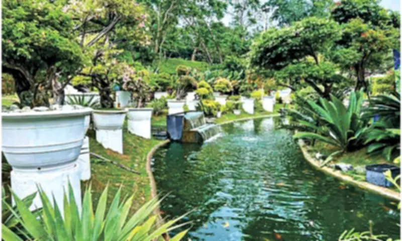 Senyorito's Garden: A Hidden Paradise in Cebu's Highlands