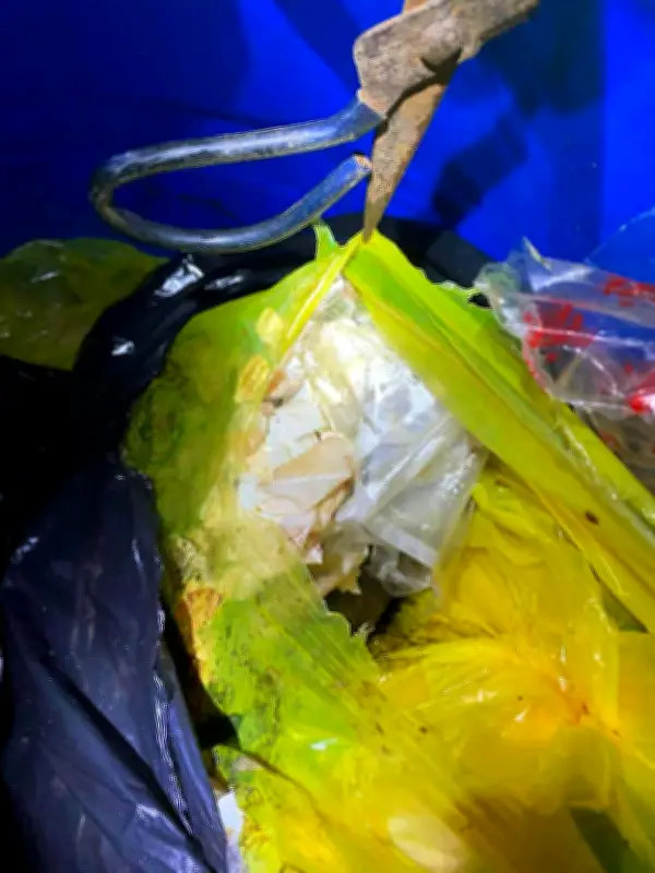 Truck with Hospital Waste Intercepted in Balamban, Driver Arrested