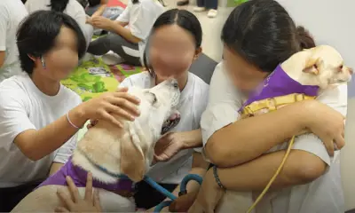 DSWD-Davao deploys Doctor Dogs for therapy at girls home