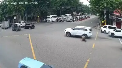 Traffic enforcer run over by SUV in Cebu City intersection incident
