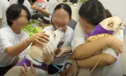 DSWD-Davao deploys Doctor Dogs for therapy at girls home