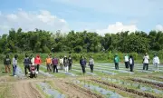 Pampanga Expands Food Security Project on 6.59-Hectare Site