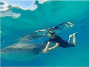 Southern Leyte Promotes Ethical Whale Shark Tourism in Pintuyan